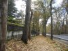 OTOÑO.jpg