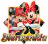 Bienvenida.jpg