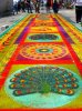 alfombra3.jpg