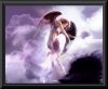 Angel-1.jpg
