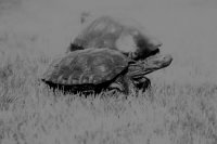 IMG_1846.jpeg