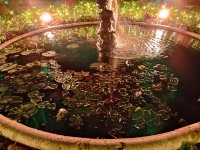 IMG_20221227_204803.jpg