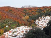 Alto-Genal1.jpg