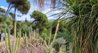 IMG_20220914_113741.jpg
