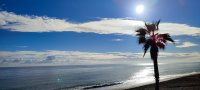 IMG_20221202_154659.jpg