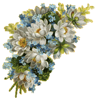 Blanca7.gif