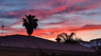 IMG_20210516_213146.jpg