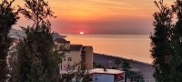 IMG_20211018_082820.jpg