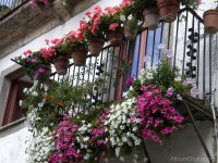 balcon-con-flores_DSCN2484_1200px.jpg