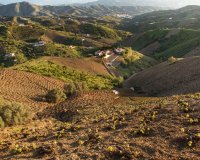 campos de la axarquía.jpg