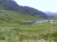 IMG_20170723_105954.jpg