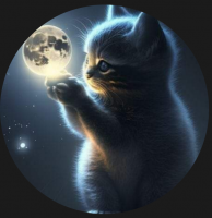 Screenshot_20241218-144218~2.png