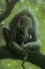 chupacabra-Small-1.jpg