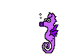caballo-mar.gif