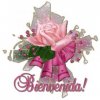 BIENVENIDA.jpg