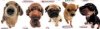 perritos-lindos - copia.jpg