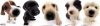 perritos-lindos.jpg