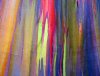 eucalipto_arcoiris_99.jpg