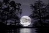 noche-de-luna.jpg