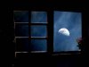 LA_LUNA_EN_LA_VENTANA.jpg