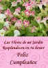 Tarjetas de Cumpleaños con Flores 2.jpg