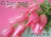 tarjetas-dia-madre.jpg