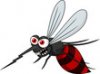 mosquito 2.jpg