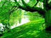 verde 1.jpg