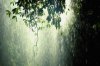 lluvia_que_permite_conservar_la_vida.jpg