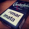 amar mata.jpg