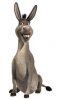 Burro 1.jpg