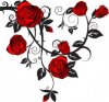 rosas.jpg