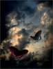 mariposa-tempestuoso-nublado-cielo.jpg