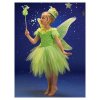 venta_disfraz_reciclados_frutas_vestidos_princesas_hadas_patito_payaso_uva_pera-5137622d830ce1ea.jpg