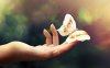 604155__in-harmony-with-nature_p.jpg