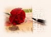 carta-flor.jpg