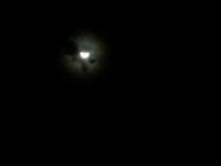 20150223_192018.jpg