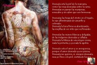 Desnuda PORTADA..JPG