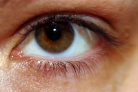 ojo1.jpg