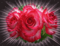 imagenes-de-rosas-con-movimiento-y-brillo.gif
