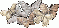 6252520MARIPOSAS252520BRILLOS.gif
