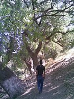11032011(122).jpg