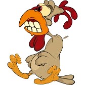 gallo-dibujo.jpg