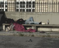 Paloma-Clochard (estudio)(5).jpg