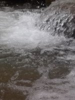100_8159.JPG