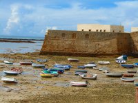 BARQUITAS EN CADIZ net.jpg