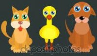 Perro-gato-pato.jpg
