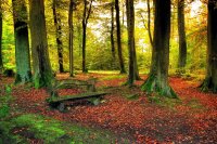 M-paisaje-de-otoño.jpg