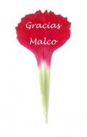 gracias malco.jpg