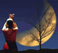 luna-flamenca.gif
